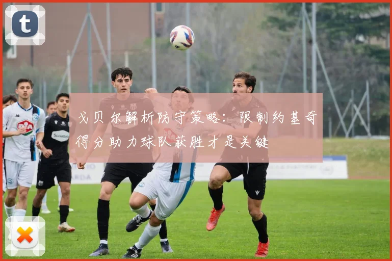 戈贝尔解析防守策略：限制约基奇得分助力球队获胜才是关键