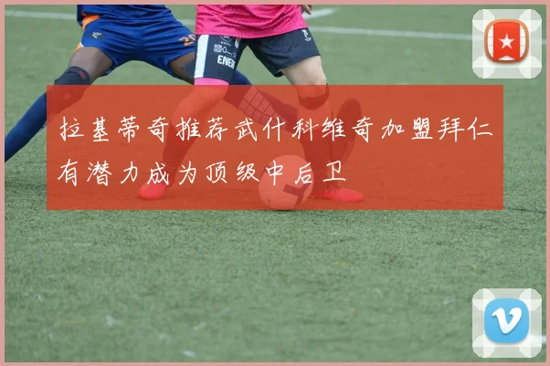 拉基蒂奇推荐武什科维奇加盟拜仁有潜力成为顶级中后卫