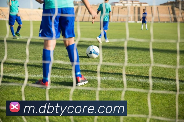 DB体育平台生态图